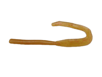 Mega Tail Worm